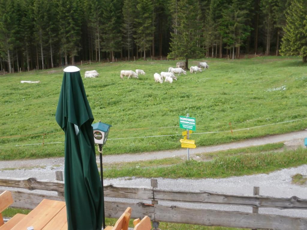 Gasthof Untere Valentinalm Plocken Bagian luar foto